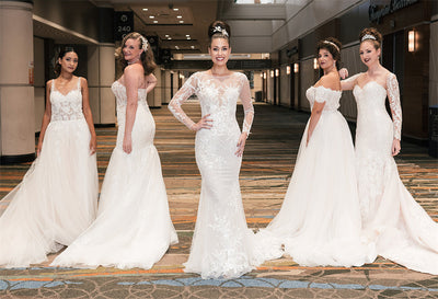 Harmonizing Bridal Elegance: Coordinating Bridesmaid Dresses and the Bridal Gown
