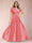 A-Line/Princess Scoop Short Sleeves Plus Size Mother of the Bride Jumpsuit with Applique
