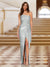 Sheath/Column One-Shoulder Sleeveless Evening Dresses with Sequins