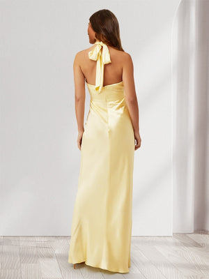 Sheath/Column Halter Keyhole Backless Maxi Dresses Long Bridesmaid Dresses