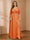 A-Line/Princess V-Neck Plus Size Mother of the Bride Dresses with Appliques & Watteau Train