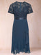 Lace A-Line/Princess V-Neck Short Sleeves Plus Size Mother of the Bride Dresses With Ruffles
