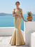 Trumpet/Mermaid Off-the-Shoulder Sleeveless Floor-Length Formal Dresses With 3D Floral