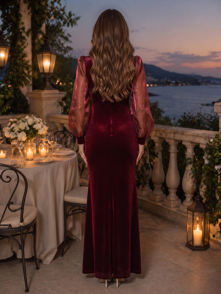 Trumpet/Mermaid High Neck Long Sleeves Velvet Organza Floor-Length Evening Dresses with Ruched
