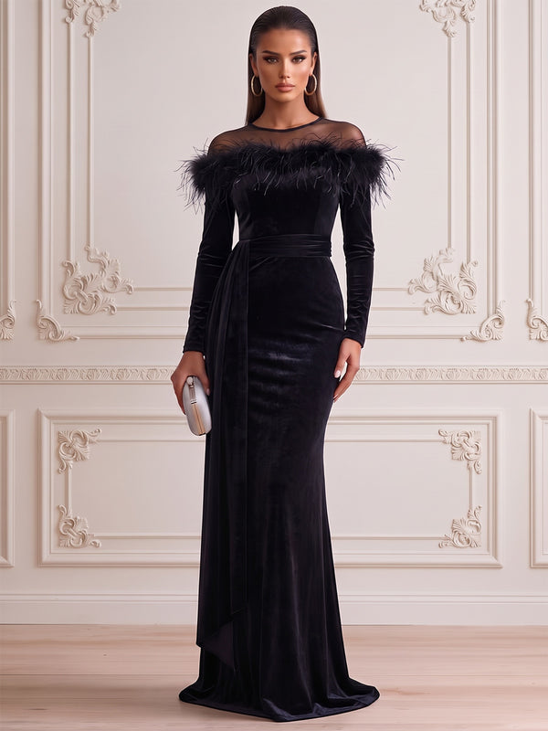 Sheath/Column Formal Attire Scoop Long Sleeves Velvet Floor-Length Evening Dresses with Feather