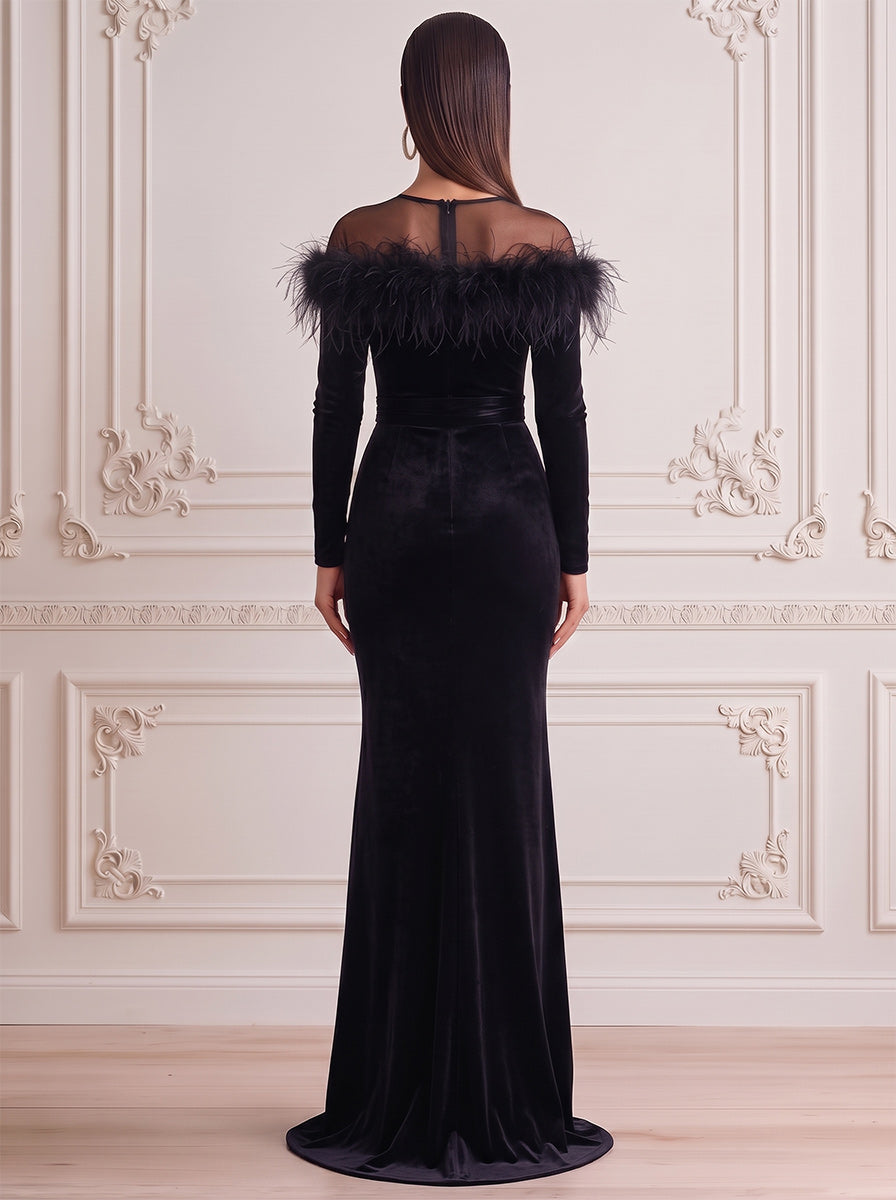 Sheath/Column Formal Attire Scoop Long Sleeves Velvet Floor-Length Evening Dresses with Feather