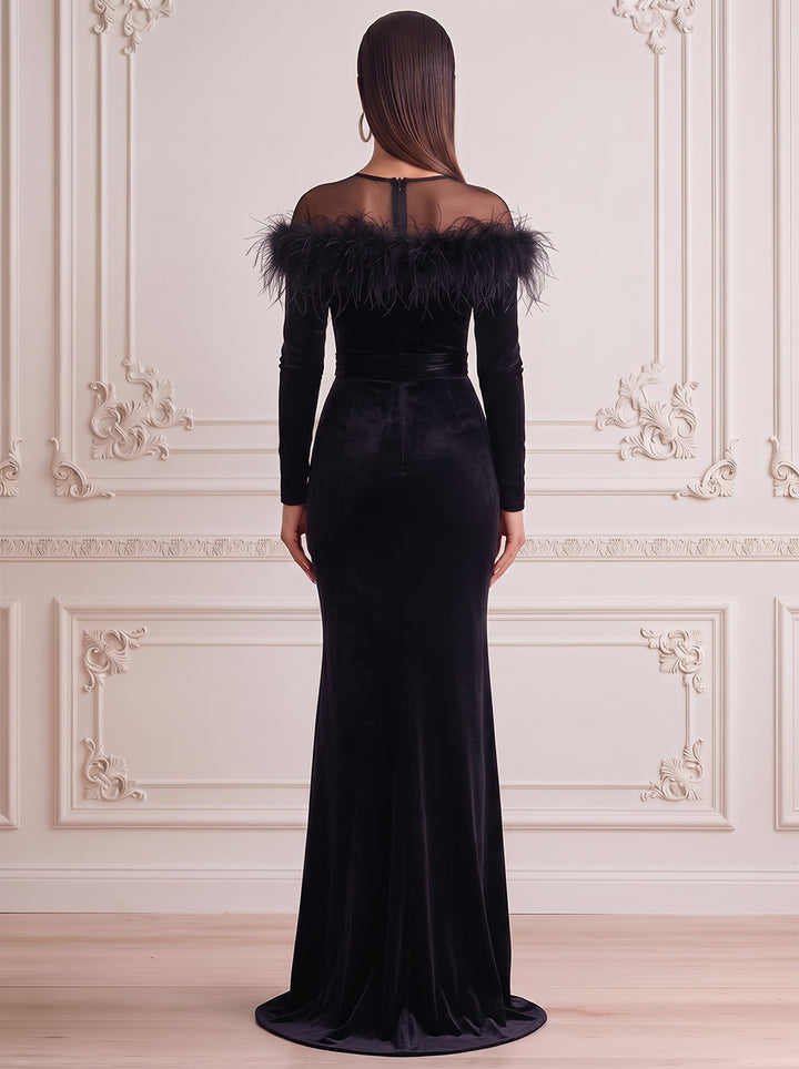 Sheath/Column Formal Attire Scoop Long Sleeves Velvet Floor-Length Evening Dresses with Feather