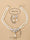 Elegant Women's White Pearl Earrings Necklace Set