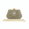 Delicate Gorgeous Diamond Clutch Women's Handbags