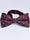 Men's Double-layer Jacquard Chic Bow Tie