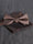 Men's Elegant Printed Jacquard Retro Bow Tie