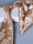 Men's 2 Pics Printed Jacquard Formal Floral Tie