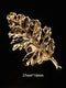 Men's High-End Rhinestones Elegant Brooch