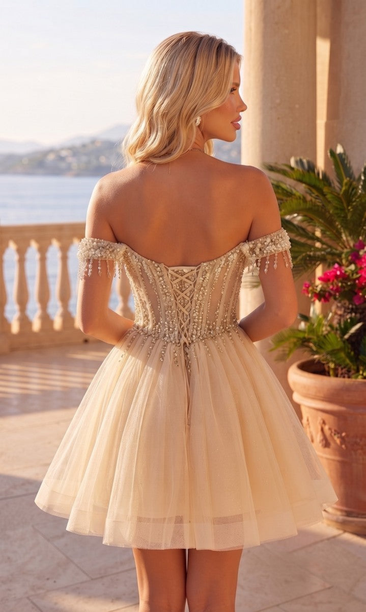 A-Line/Princess Off-the-Shoulder Sleeveless Tulle Mini Homecoming Dresses with Applique&amp;Corset