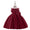Ball Gown Scoop Sleeveless Flower Girl Dresses with Ruffles