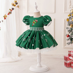 A-Line/Princess Scoop Puff Sleeves Pleated Christmas Dresses for Girls