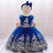 Ball Gown Scoop Sleeveless Lace Flower Girl Dresses