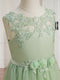 A-Line/Princess Tulle Sleeveless Floor-Length Flower Girl Dresses with Applique & Sash