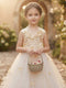 A-Line/Princess Scoop Sleeveless Asymmetrical Flower Girl Dresses With Appliques & Lace