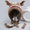 Heavyweight Snowflake Jacquard Knit Christmas Hat with 3D Antlers
