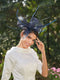 Elegant Retro Tulle Fascinators with Feathers