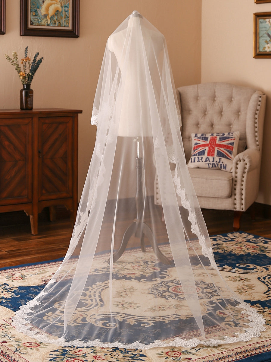 Elegant Tulle One-Tier Chapel Long Bridal Veils With Applique