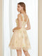 Retro A-Line Tulle Embroidery Short Homecoming Dresses with Straps
