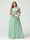 A-Line/Princess Criss Cross Sleeveless Chiffon Plus Size Bridesmaid Dresses with Sash