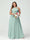 A-Line/Princess Criss Cross Sleeveless Chiffon Plus Size Bridesmaid Dresses with Sash