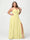 A-Line/Princess Halter Sleeveless Chiffon Ruched Split Side Plus Size Bridesmaid Dresses with Pockets