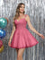 A-Line Spaghetti Straps V-Neck Applique Sleeveless Tulle Homecoming Dresses